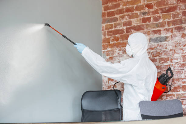 Best Commercial Mold Inspection  in Jackson, WY