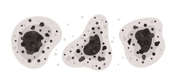 Best Mold-Related Health Consultation  in Jackson, WY