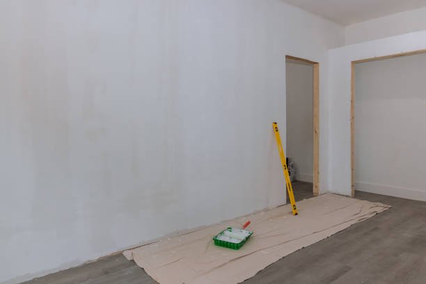 Best Industrial Mold Remediation  in Jackson, WY