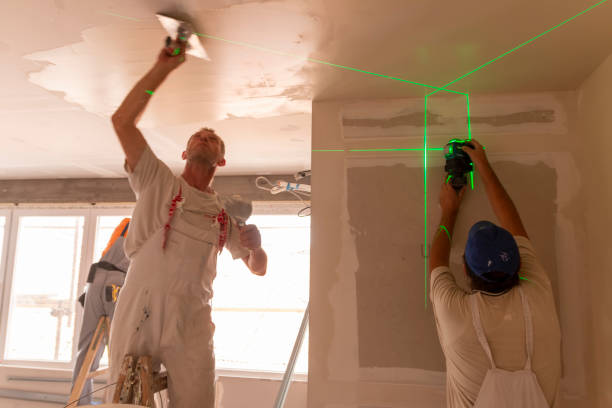 Best Asbestos and Lead Testing During Mold Inspection  in Jackson, WY