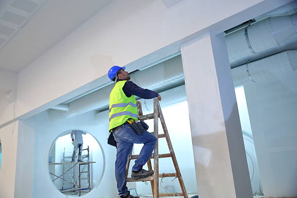 Best Biohazard Mold Removal  in Jackson, WY