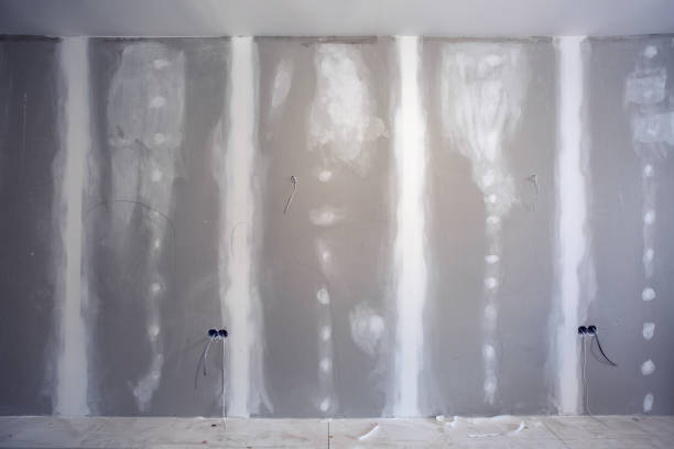 Professional Mold Removal in Jackson, WY